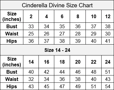 Feather Glitter Mermaid Dress by Cinderella Divine C57